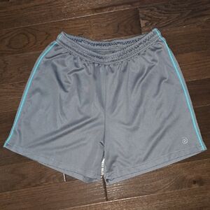 Be Inspired Gray Performance Shorts